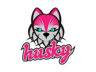 husky《ハスキー》新メンバー募集 #オーディション #アイドルオーディション #アイドル募集